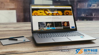 东莞寮步营销型网站建设与专业软件开发服务商选择指南