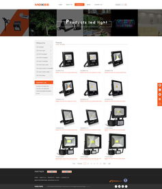 从民治到深圳 一站式数字解决方案，助力欧美克照明照亮全球市场